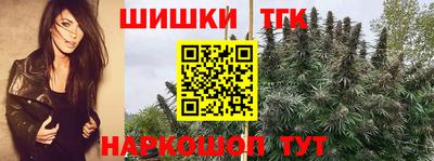 эйфоретик Кингисепп