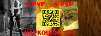 эйфоретик Кингисепп