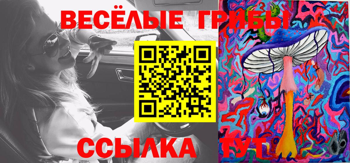 Галлюциногенные грибы мухоморы Новокубанск
